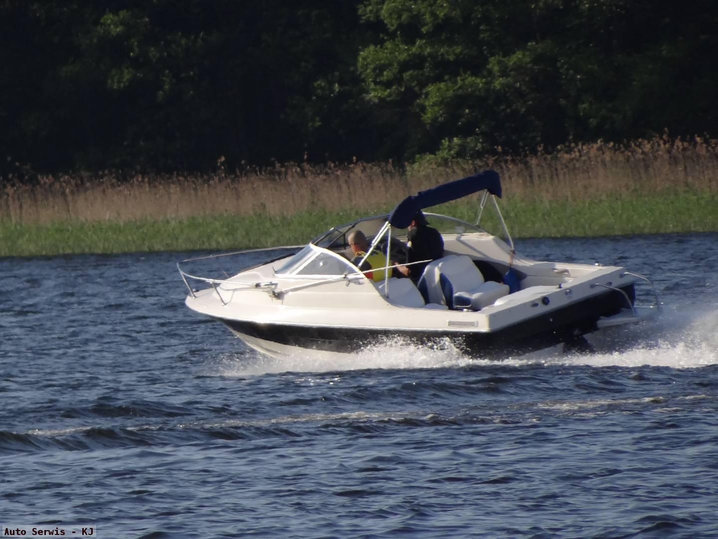 Bayliner 1952